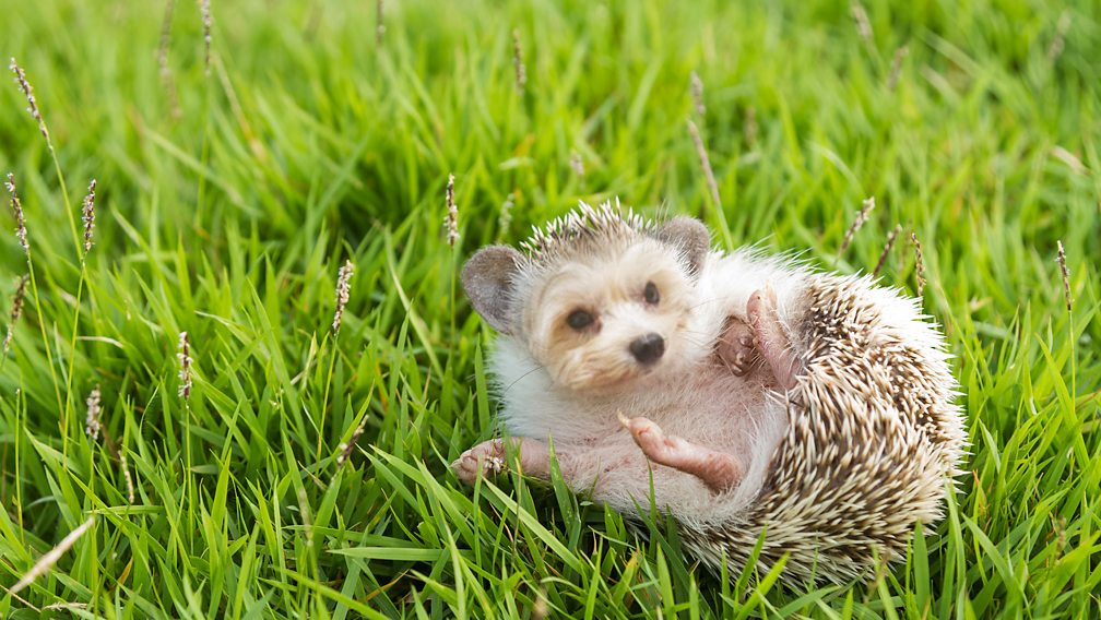 WhatsApp Image 2025-09-12 at 18.15.22_01519862.jpg