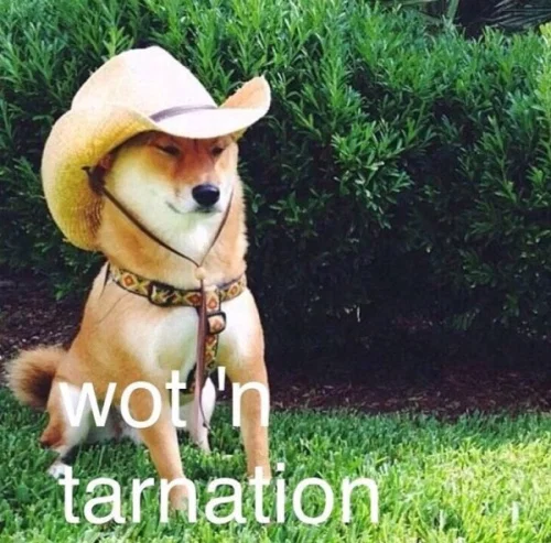 wot'n tarnation.png