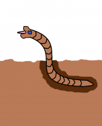 Worm.png