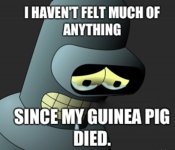 Bender Guinea Pig.jpg