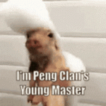 peng-peng-clan (1).gif