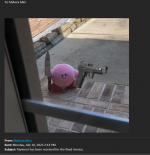 kirbyscammer.png