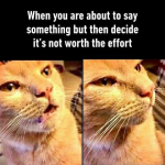 IMG_9095.png