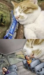 IMG_9202.jpeg