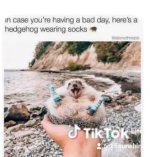 560782ef-dd9d-4d35-9b99-471371e61477_4_watermark.jpeg