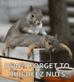 deez-nuts.gif
