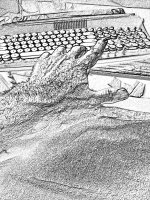 hand4.jpg