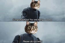 1772689616012.jpeg