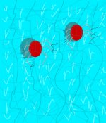 IMG_0391.jpeg