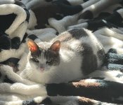 IMG_9778.jpeg