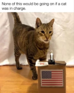 1774405393399.png