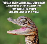 1774405879880.png