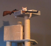1774422566633.png