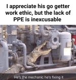 FB_IMG_1774907856287.jpg