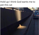 1775904869103.png