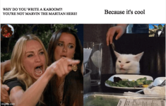 ladyvscat.png