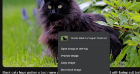Screenshot_20260414-175002.png