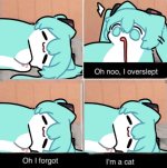 IMG_0045.jpeg