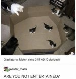 IMG_0197.jpeg