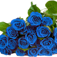 99blueroses