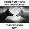 twogaywolvesinsideme